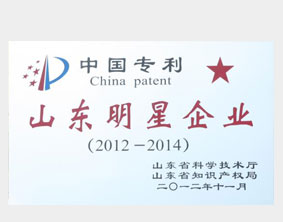 山東專利明星企業(yè)
